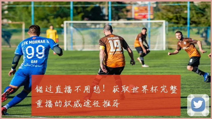 错过直播不用愁！获取世界杯完整重播的权威途径推荐